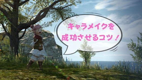 Ff14キャラメイクで自分好みに作るコツ 種族差についても解説 コトリログ Ff14