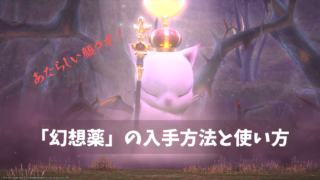 Ver 2 0 2 5 新生エオルゼア の全id解放クエスト条件 場所一覧 コトリログ Ff14